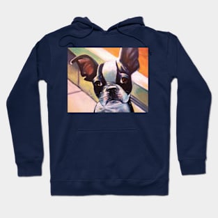 Boston Terrier Pup Hoodie